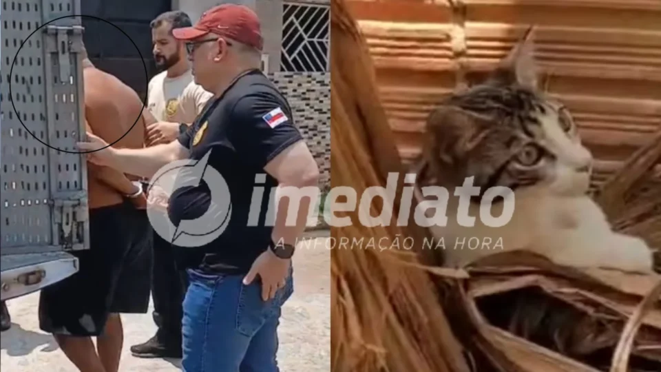 VEJA VÍDEO: Trio é preso após jogar gato em quintal com cães e deixá-lo agonizando por 12 horas no Amazonas
