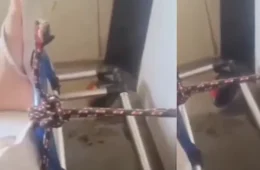 IMPROVISADO? | Vídeo mostra ambulância com porta amarrada por corda durante transporte de paciente no Pará