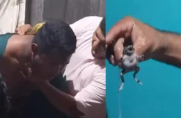 Pastor afirma que tirou sapo da garganta de homem em Vitória do Xingu, no Pará