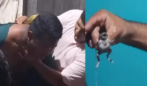 Pastor afirma que tirou sapo da garganta de homem em Vitória do Xingu, no Pará