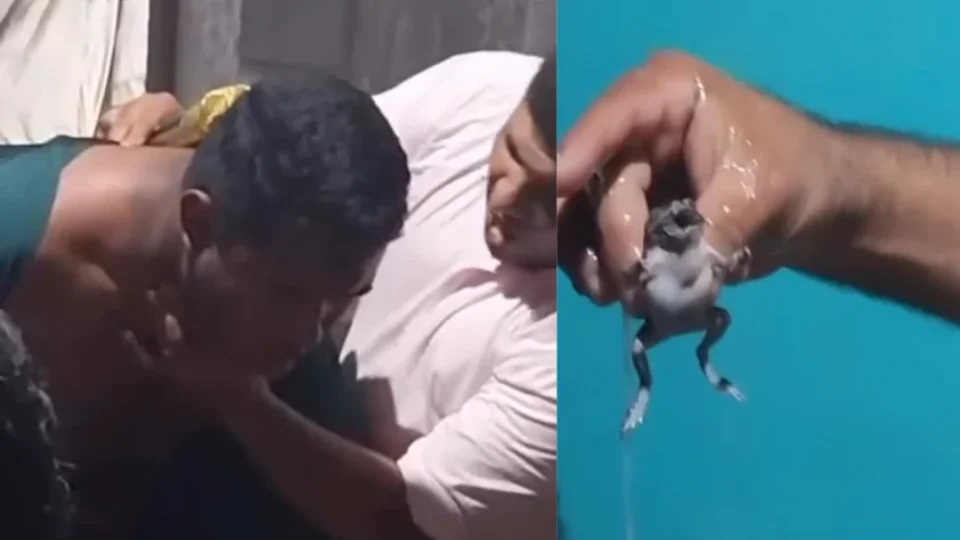 Pastor afirma que tirou sapo da garganta de homem em Vitória do Xingu, no Pará