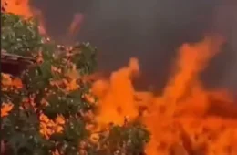 É FOGO | Incêndio de grandes proporções atinge residência em Rurópolis