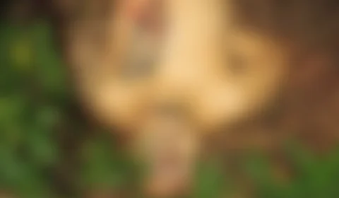 IMAGENS FORTES| Homem é achado morto com mãos amarradas e marcas de tiros