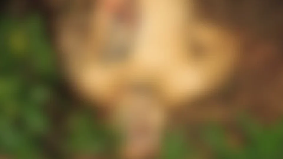 IMAGENS FORTES| Homem é achado morto com mãos amarradas e marcas de tiros