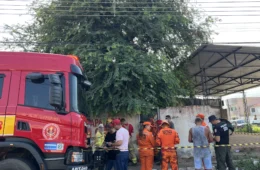 Homem é encontrado morto em avançado estado de decomposição no alto de árvore