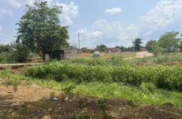 Vala a céu aberto e área abandonada geram reclamações de moradores há 30 anos em Porto Velho