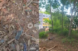 VEJA AS IMAGENS: Mulher é encontrada morta em área de mata no Planalto, em Manaus