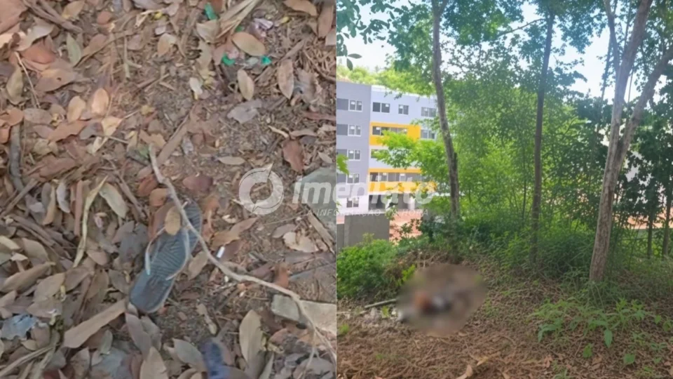 VEJA AS IMAGENS: Mulher é encontrada morta em área de mata no Planalto, em Manaus
