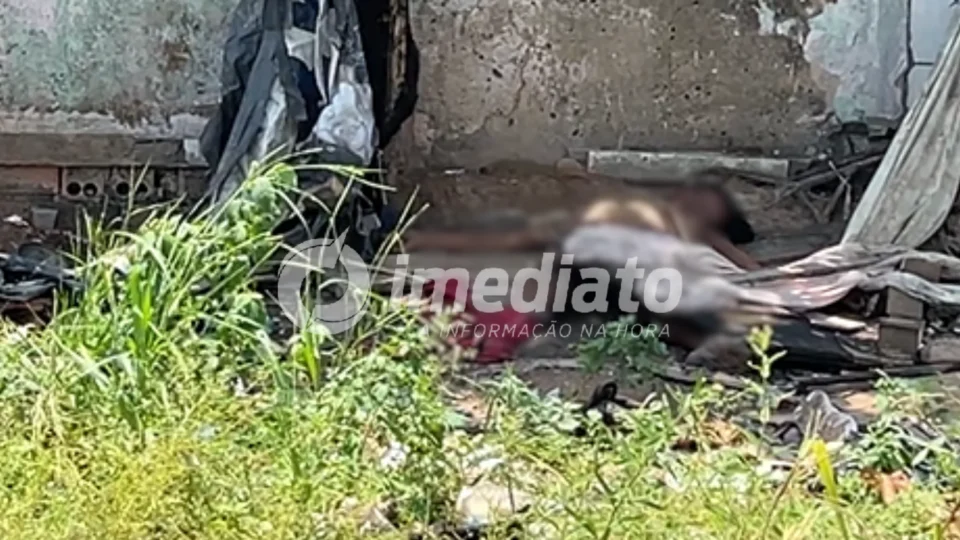 AGORA: Mulher é encontrada morta em terreno baldio na região central de Porto Velho
