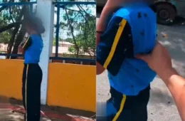 VEJA VÍDEO: Motoboy arrisca a própria vida para salvar menina atacada por abelhas na Grande BH