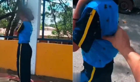 VEJA VÍDEO: Motoboy arrisca a própria vida para salvar menina atacada por abelhas na Grande BH