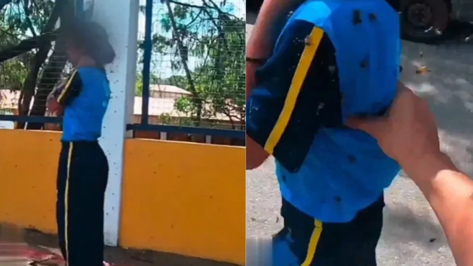 VEJA VÍDEO: Motoboy arrisca a própria vida para salvar menina atacada por abelhas na Grande BH