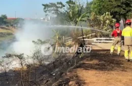 VEJA IMAGENS: Incêndio toma conta de área de mata e assusta moradores na Avenida Lourenço Braga