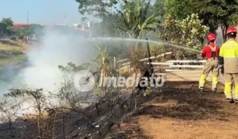 VEJA IMAGENS: Incêndio toma conta de área de mata e assusta moradores na Avenida Lourenço Braga
