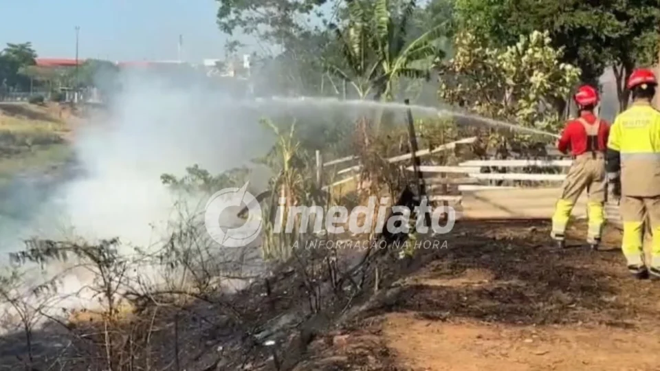 VEJA IMAGENS: Incêndio toma conta de área de mata e assusta moradores na Avenida Lourenço Braga