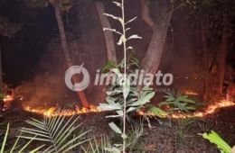 Fogo avança no Parque das Tribos e deixa moradores com medo de perder suas casas