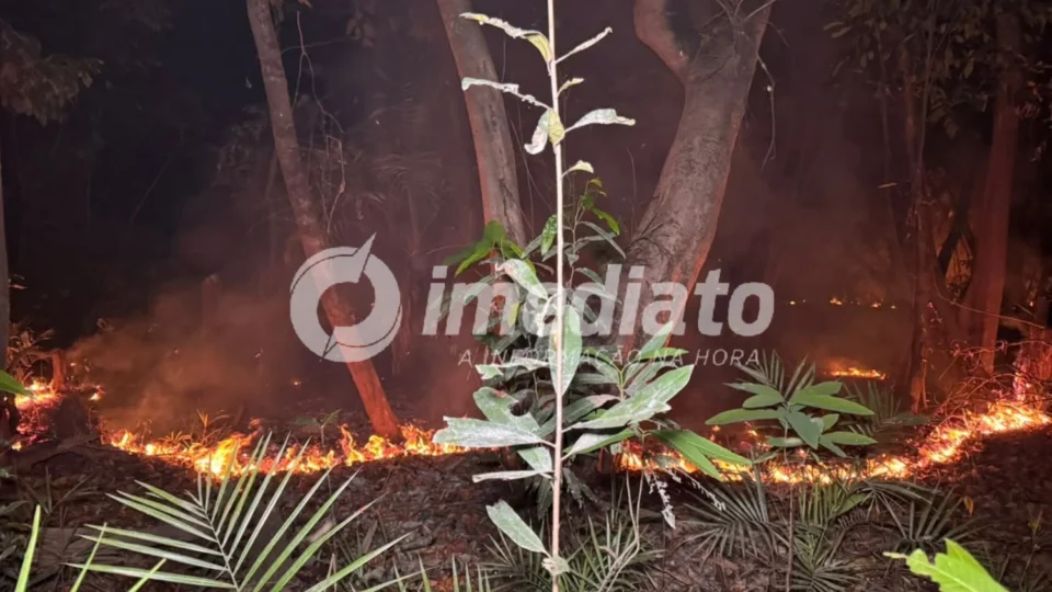 Fogo avança no Parque das Tribos e deixa moradores com medo de perder suas casas