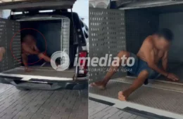 VEJA VÍDEO: Homem é preso após ser filmado agredindo cachorro dentro de quintal no Amazonas