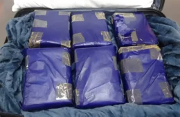 A CASA CAIU: Mulher é presa com 12 kg de skunk escondidos em mala no Aeroporto de Manaus