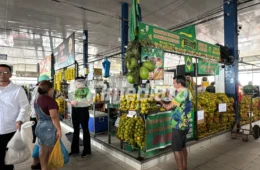 “MILHÕES EM MERCADORIAS PODEM IR PARA O LIXO!”: feirantes enfrentam 14 horas sem energia em Manaus