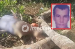 Homem morre soterrado por galhos durante corte de árvores em fazenda no interior do Amazonas