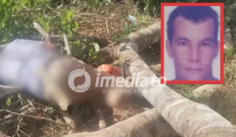 Homem morre soterrado por galhos durante corte de árvores em fazenda no interior do Amazonas