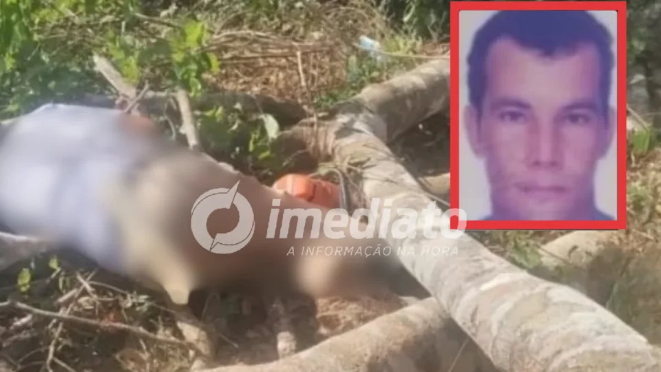 Homem morre soterrado por galhos durante corte de árvores em fazenda no interior do Amazonas