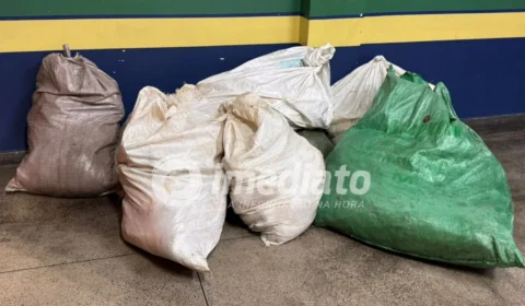 Mais de 500 kg de pirarucu são apreendidos durante fiscalização em feira de Manaus