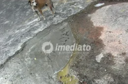“Alô Prefeitura, bora asfaltar a rua?”: moradores se unem e fazem tapa-buraco por conta própria no São José