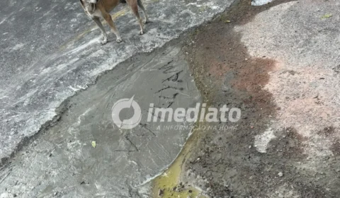 “Alô Prefeitura, bora asfaltar a rua?”: moradores se unem e fazem tapa-buraco por conta própria no São José