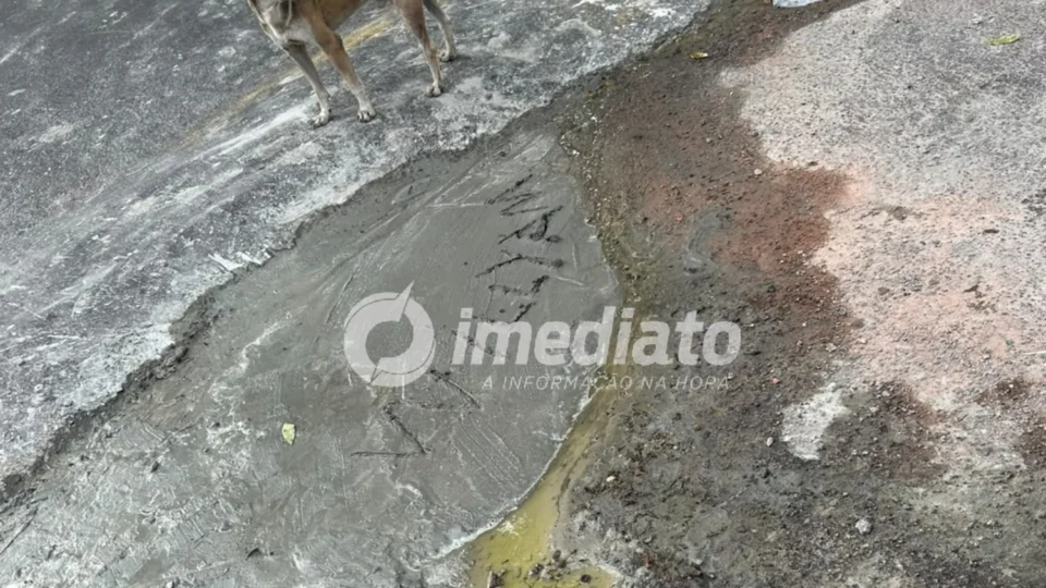 “Alô Prefeitura, bora asfaltar a rua?”: moradores se unem e fazem tapa-buraco por conta própria no São José