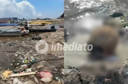 URGENTE: Ossada humana é encontrada na Manaus Moderna um dia após localização de crânio