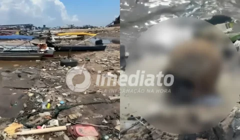 URGENTE: Ossada humana é encontrada na Manaus Moderna um dia após localização de crânio