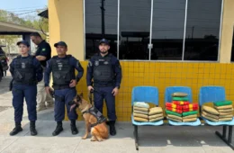 Cadela farejadora encontra cerca de 30 kg de drogas em malas dentro de ônibus na Ceasa