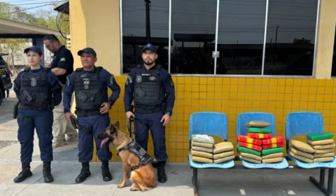 Cadela farejadora encontra cerca de 30 kg de drogas em malas dentro de ônibus na Ceasa