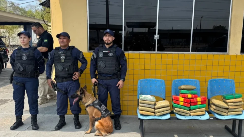 Cadela farejadora encontra cerca de 30 kg de drogas em malas dentro de ônibus na Ceasa