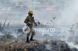 FOGO NA ZL: Incêndio se alastra e ameaça área de mata e rede de alta tensão na Avenida Alphaville