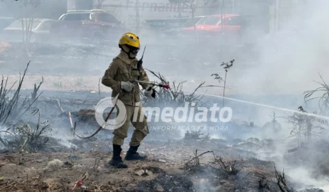 FOGO NA ZL: Incêndio se alastra e ameaça área de mata e rede de alta tensão na Avenida Alphaville