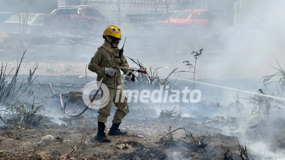 FOGO NA ZL: Incêndio se alastra e ameaça área de mata e rede de alta tensão na Avenida Alphaville