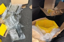 Homem é preso com 56 kg de skunk escondidos em compartimentos de MDF em Manaus