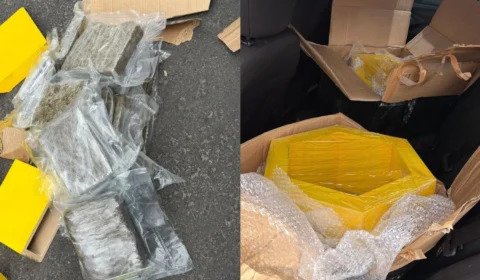 Homem é preso com 56 kg de skunk escondidos em compartimentos de MDF em Manaus
