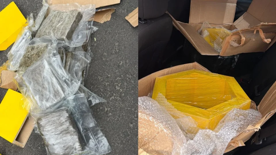 Homem é preso com 56 kg de skunk escondidos em compartimentos de MDF em Manaus