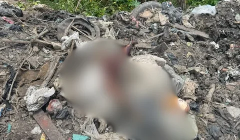 Homem é encontrado morto em área de descarte de lixo irregular em Ananindeua