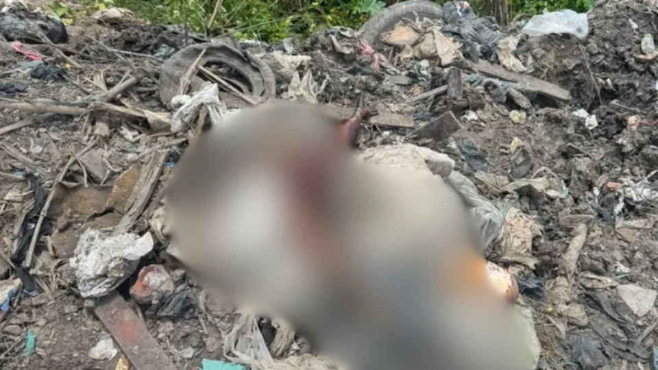 Homem é encontrado morto em área de descarte de lixo irregular em Ananindeua