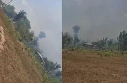Incêndio destrói residência e atinge área de mata em Autazes
