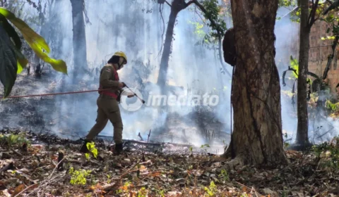 VEJA: Incêndio atinge área de mata no bairro da Paz, em Manaus