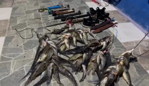 Grande quantidade de peixes é apreendida durante fiscalização de pesca irregular no Rio Caeté