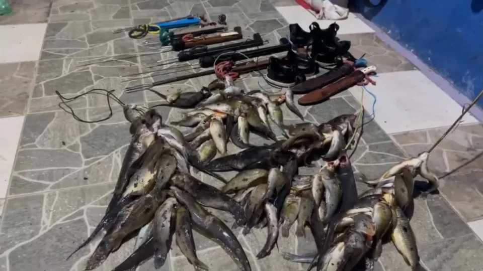 Grande quantidade de peixes é apreendida durante fiscalização de pesca irregular no Rio Caeté