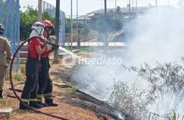 VEJA: Incêndio atinge área de vegetação no bairro Educandos, em Manaus