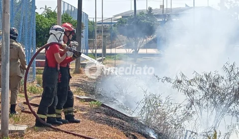 VEJA: Incêndio atinge área de vegetação no bairro Educandos, em Manaus